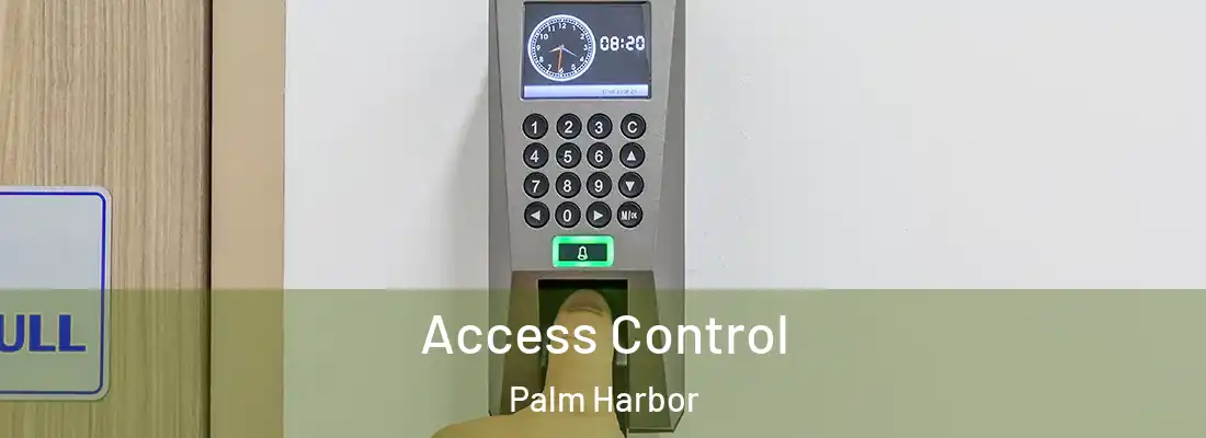 Access Control Palm Harbor