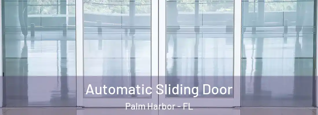 Automatic Sliding Door Palm Harbor - FL