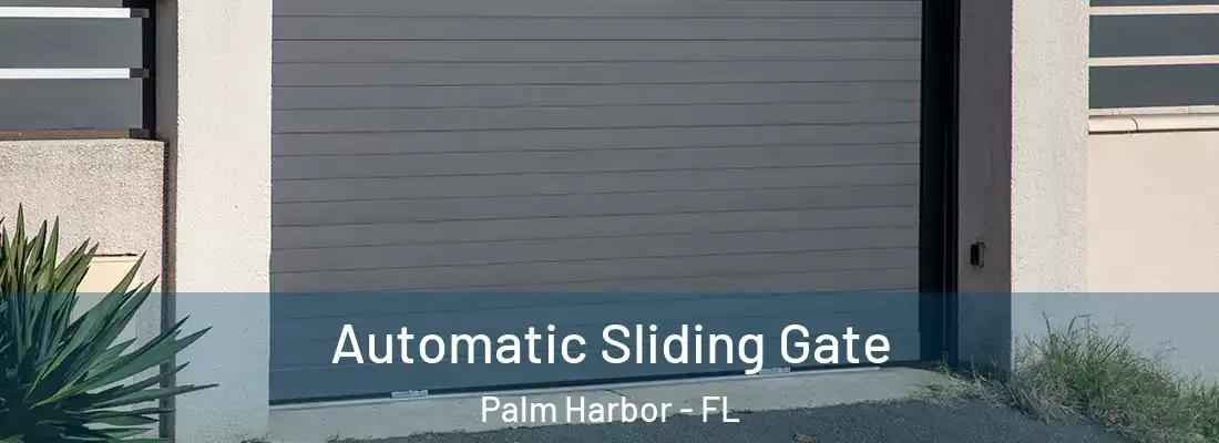 Automatic Sliding Gate Palm Harbor - FL