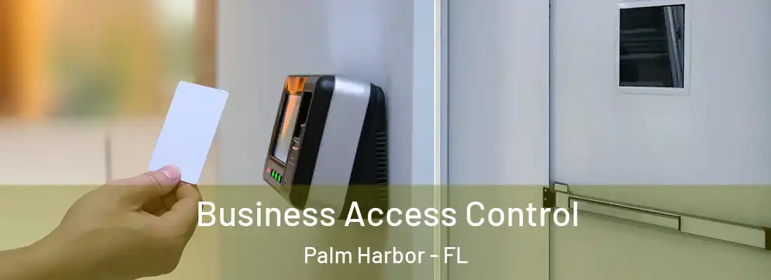 Business Access Control Palm Harbor - FL