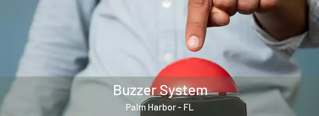 Buzzer System Palm Harbor - FL