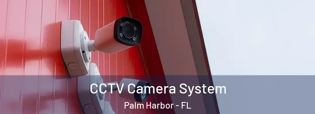 CCTV Camera System Palm Harbor - FL