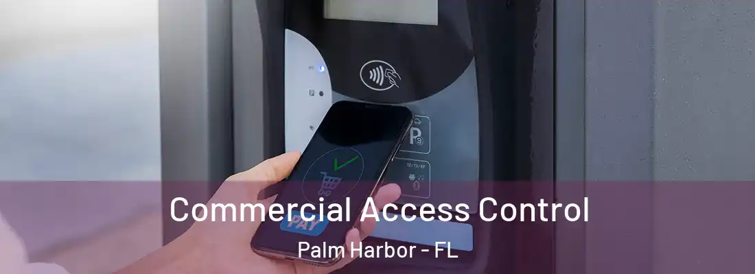 Commercial Access Control Palm Harbor - FL