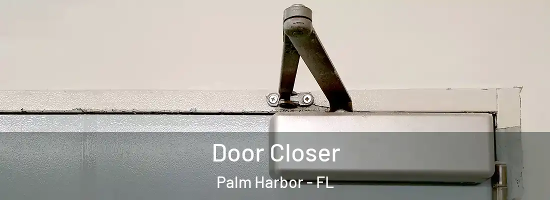 Door Closer Palm Harbor - FL