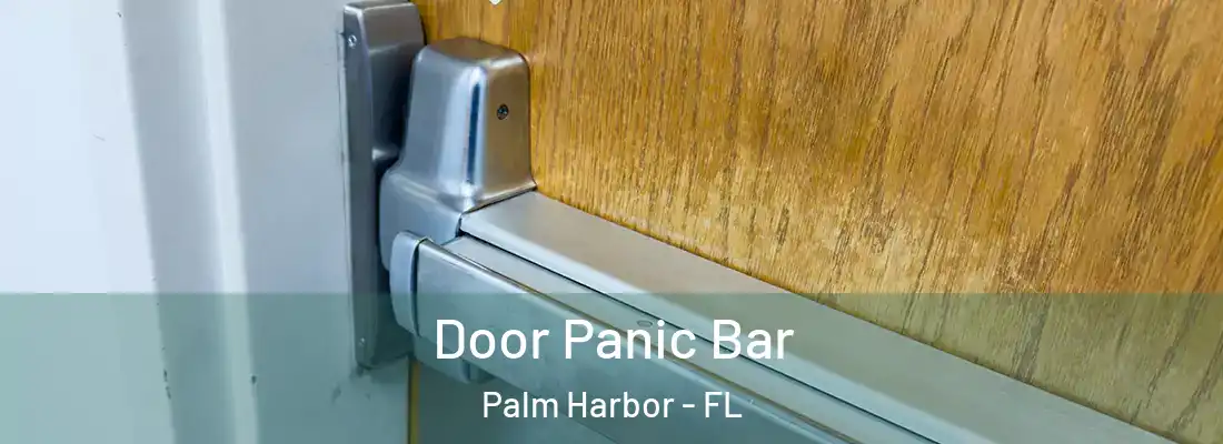 Door Panic Bar Palm Harbor - FL