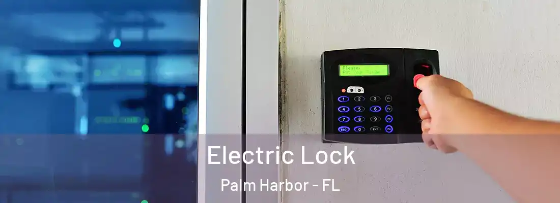 Electric Lock Palm Harbor - FL