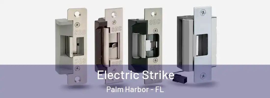 Electric Strike Palm Harbor - FL