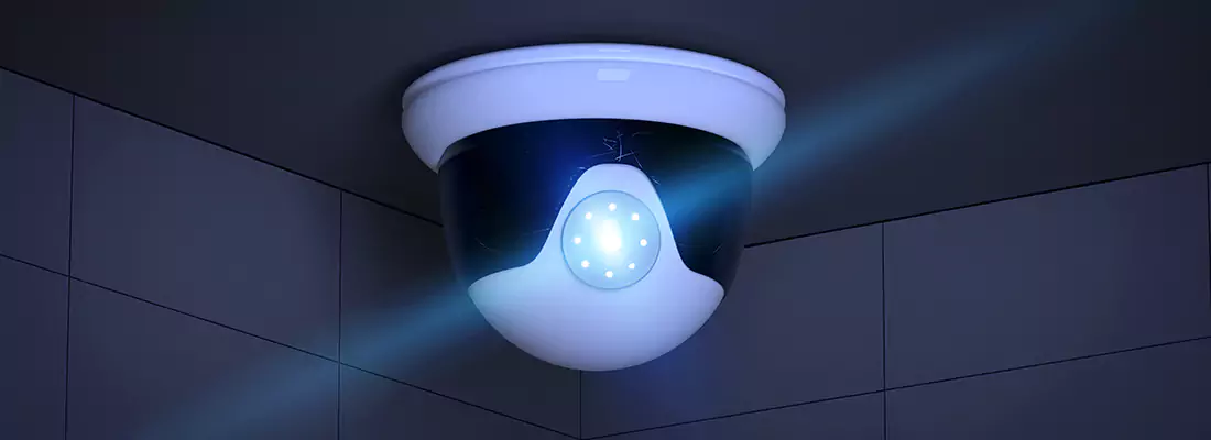 Affordable Night Vision CCTV Camera Services in Palm Harbor, FL