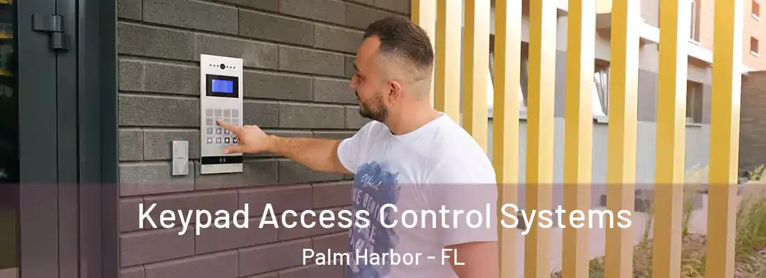 Keypad Access Control Systems Palm Harbor - FL