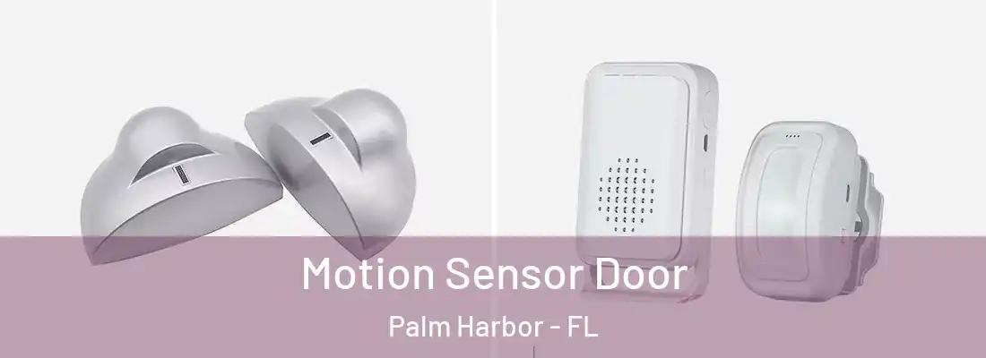 Motion Sensor Door Palm Harbor - FL