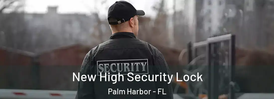 New High Security Lock Palm Harbor - FL