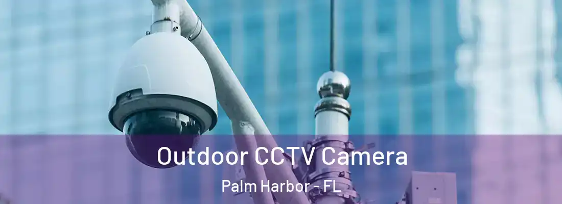Outdoor CCTV Camera Palm Harbor - FL