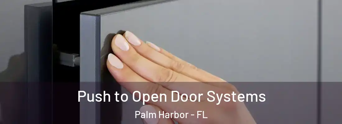 Push to Open Door Systems Palm Harbor - FL