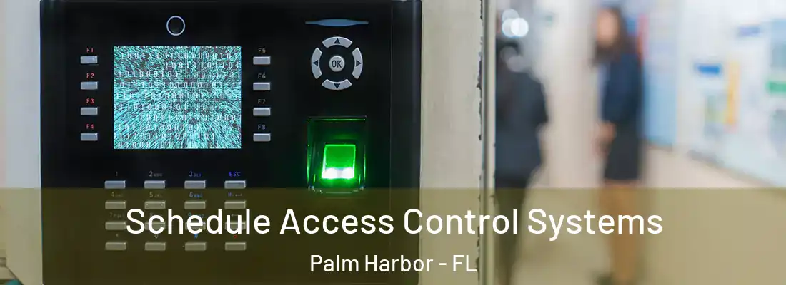 Schedule Access Control Systems Palm Harbor - FL