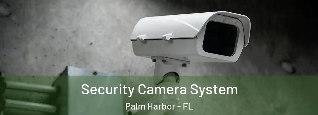 Security Camera System Palm Harbor - FL