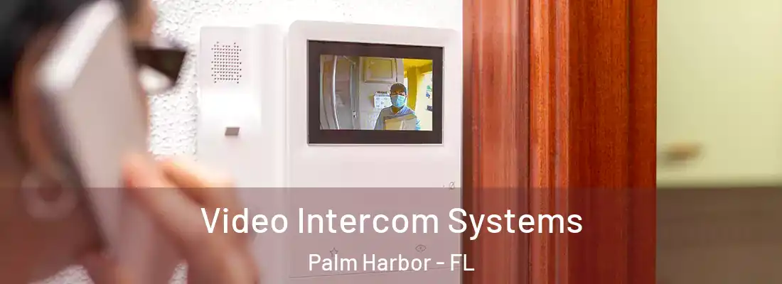 Video Intercom Systems Palm Harbor - FL