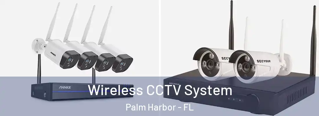 Wireless CCTV System Palm Harbor - FL